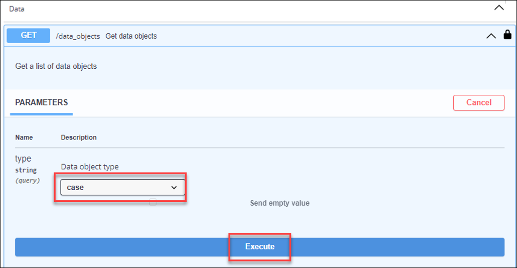 Case is selected in the data object type list and the Execute button is shown at the bottom of the section.