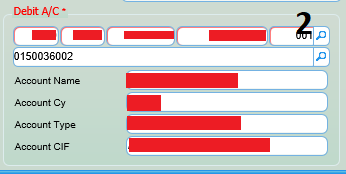 Data fetched after focus is changed from the account number (testing data)