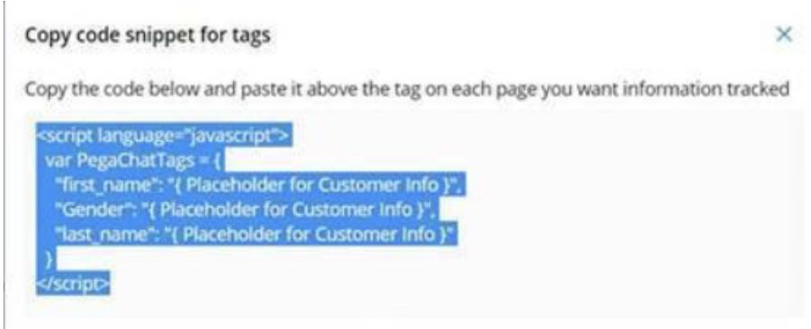 Copy code snippet for tags section