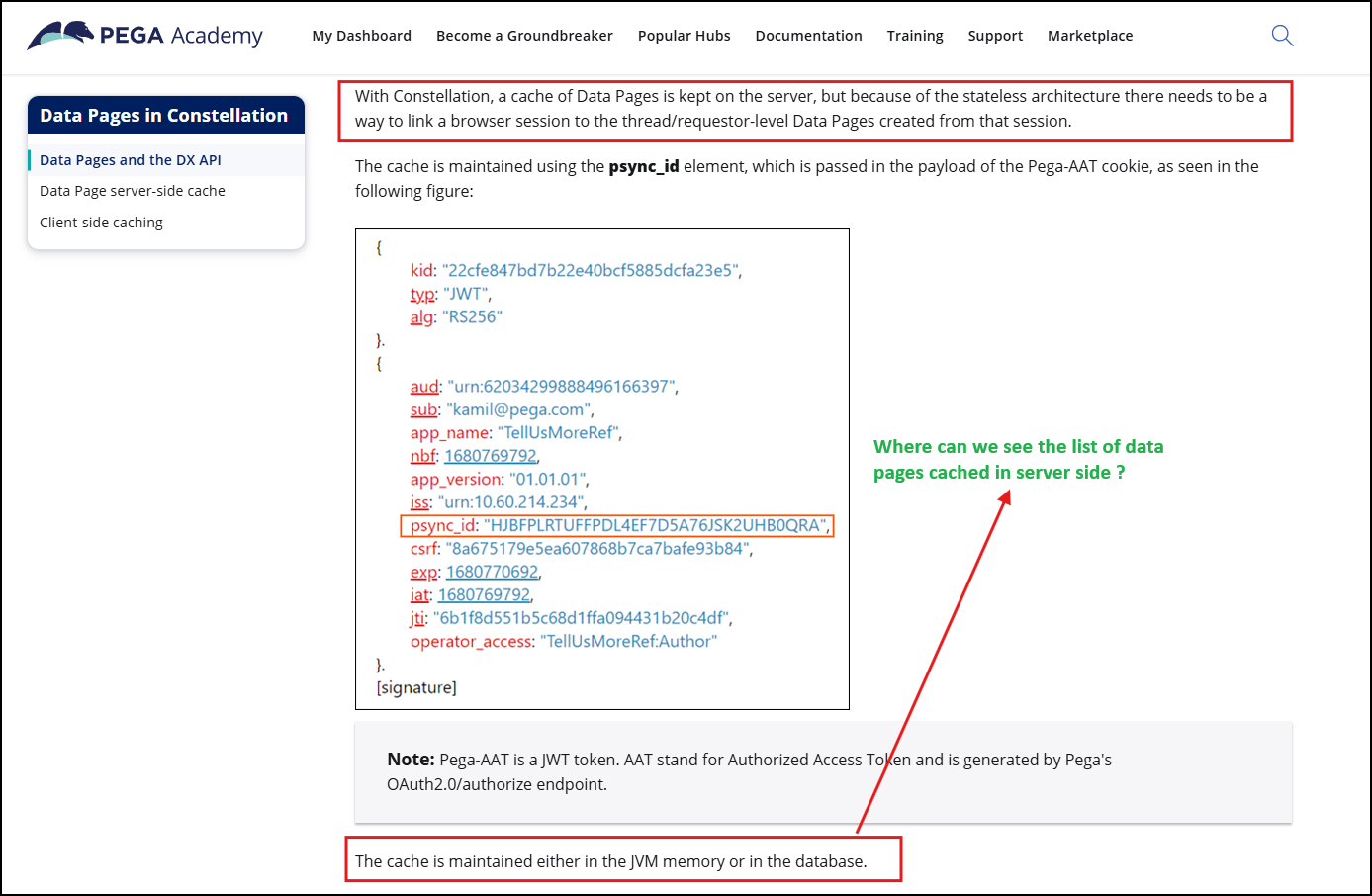 Server side data page cache view