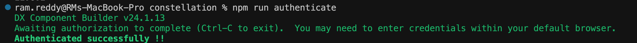 npm run authenticate - Authenticated successfully !!