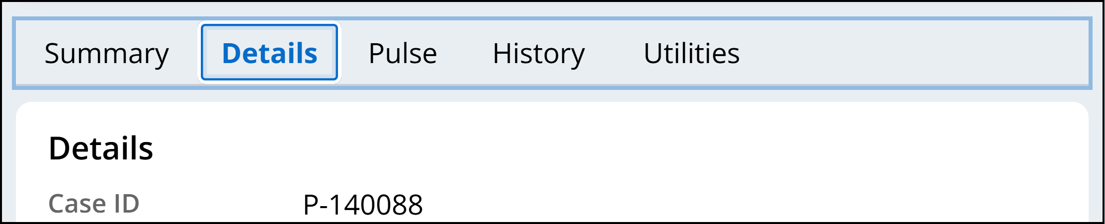 A tab group is shown, with focus on the Details tab. A light blue border surrounds the entirety of the component.