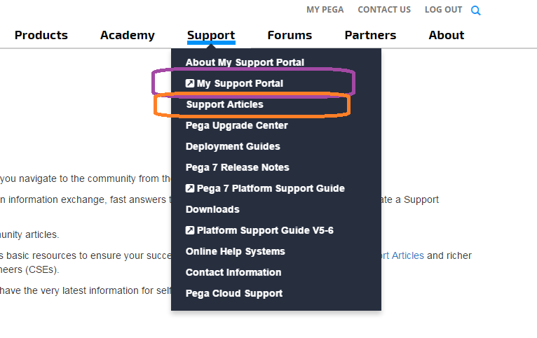 support menu featuring link to My Support Portal.png